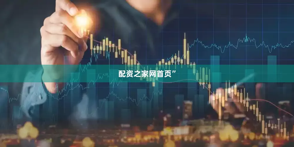 配资之家网首页”