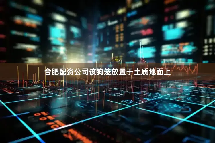 合肥配资公司该狗笼放置于土质地面上