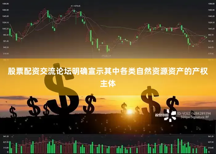 股票配资交流论坛明确宣示其中各类自然资源资产的产权主体
